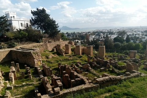 Depuis Tunis : visite de Carthage et de Sidi Bou Saïd