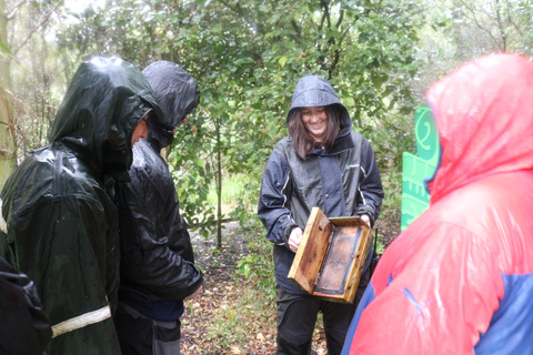 Zoológico de Wellington - Animales de Aotearoa - Visita en grupoZoológico de Wellington - Tour en grupo «Animales de Aotearoa»