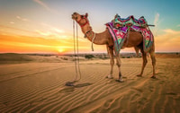 Sharm El Sheikh, Afternoon ATV Quad Tour with Echo Mountains - Housity