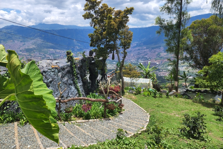Medellín: Experiencia Glamping Spa y tour de caféMedellín: experiencia de spa y glamping en la granja de café durante la noche