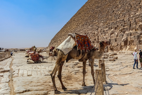 Sharm El Sheikh: Tour di un giorno al Cairo in autobus con guida e pranzoGruppo privato - Tour di un giorno al Cairo con guida e pranzo