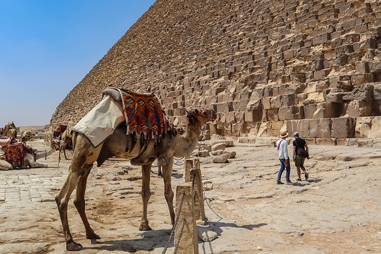 Sharm El Sheikh: Tour di un giorno al Cairo in autobus con guida e pranzoGruppo privato - Tour di un giorno al Cairo con guida e pranzo