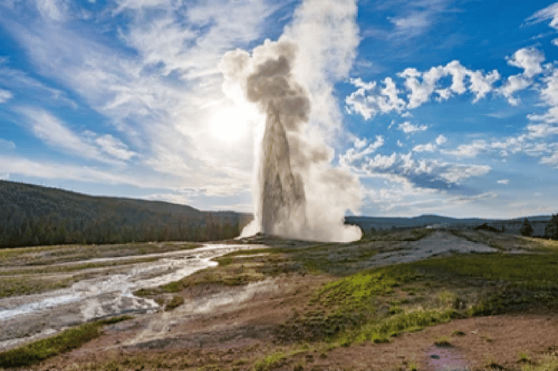 Jackson Yellowstone National Park & Wildlife Viewing Tour GetYourGuide