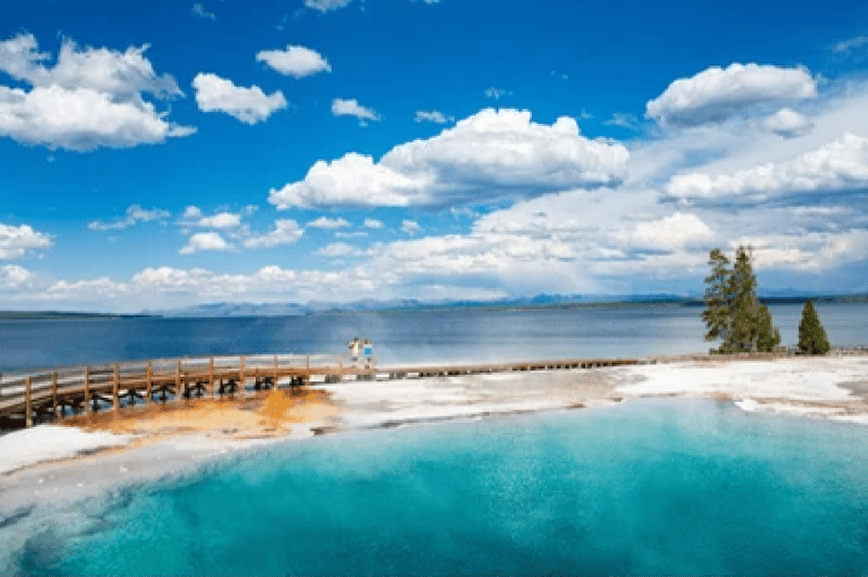 Jackson Yellowstone National Park & Wildlife Viewing Tour GetYourGuide