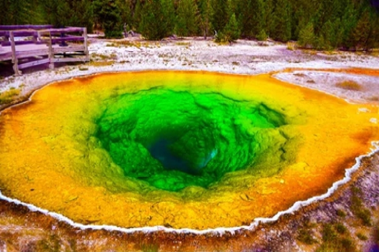 Jackson : visite de Yellowstone, petit groupe et pique-niqueAnnulation gratuite jusqu'à 48 h à l'avance
