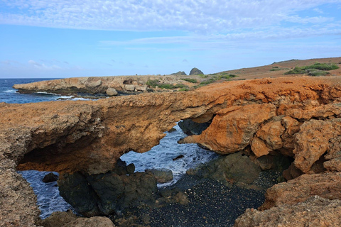 Mini Wellness Retreat in Aruba