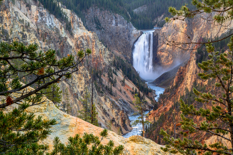 De Jackson: Grand Teton & Yellowstone 2 jours 1 nuit