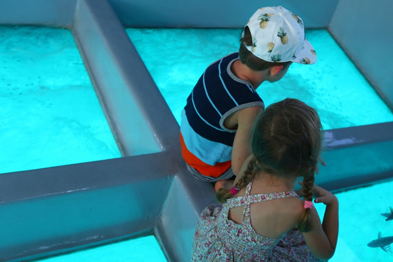 Sharm El Sheikh: Tour en barco con fondo de cristal y traslado privado