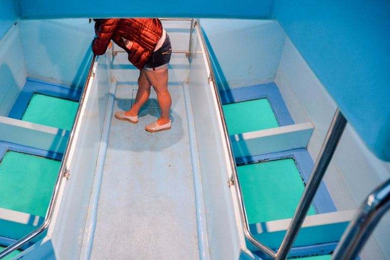 Sharm El Sheikh: Glass Bottom Boat Tour & Private Transfer