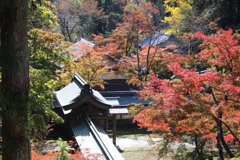 From Nagoya: Kegonji Temple, Yoro Park & Kiyosu Castle Tour