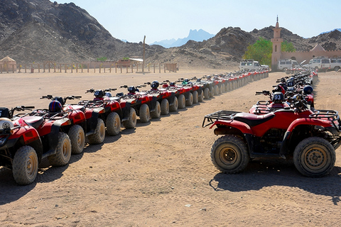 Sharm El Sheikh: Quad, Safari, Kameel met Diner & Show1H Quad, Kameel