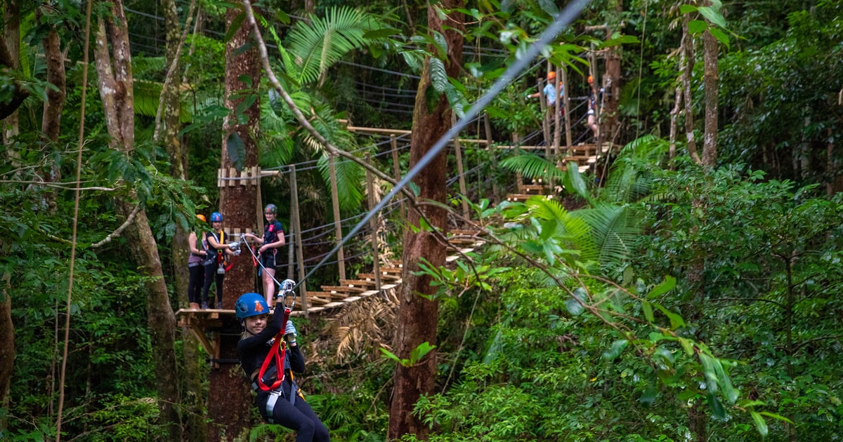 safari tents daintree rainforest