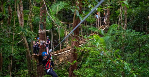 Cairns: Daintree Rainforest Canopy Ziplining Tour