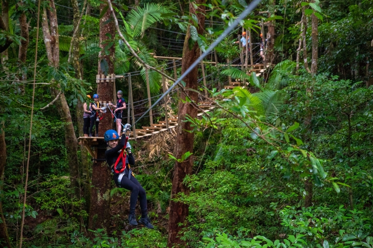 Cairns: Daintree Rainforest Canopy Ziplining Tour Cape Tribulation: Daintree National Park Zipline Tour