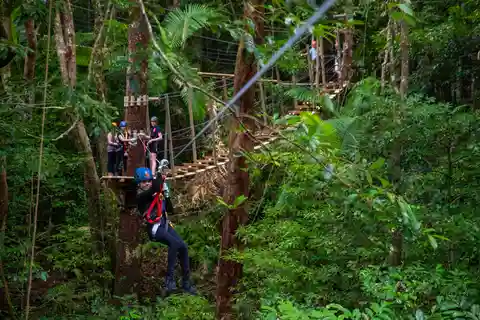Cairns: Daintree Rainforest Canopy Ziplining Tour