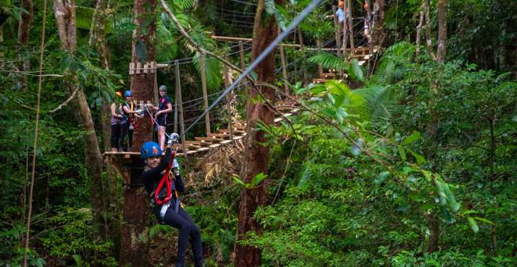 Cairns Daintree Rainforest Canopy Ziplining Tour GetYourGuide