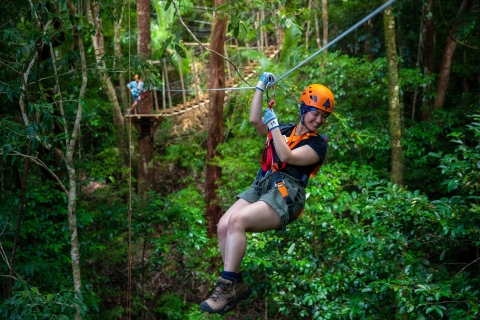 Port Douglas: Ziplining po baldachimach Daintree RainforestDaintree Rainforest Tree Canopy Ziplining