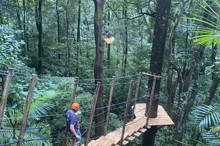 Port Douglas: Ziplining po baldachimach Daintree RainforestDaintree Rainforest Tree Canopy Ziplining