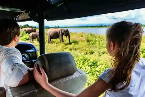 Vanuit Colombo: Yala Nationaal Park Safari met Transfer