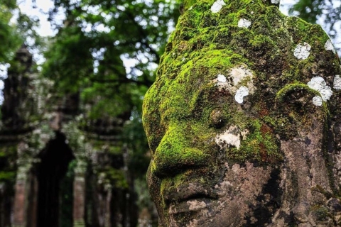 Angkor: Temple Day Tour and 4-Course Gastronomic Experience Sunrise Option by Shared Minibus