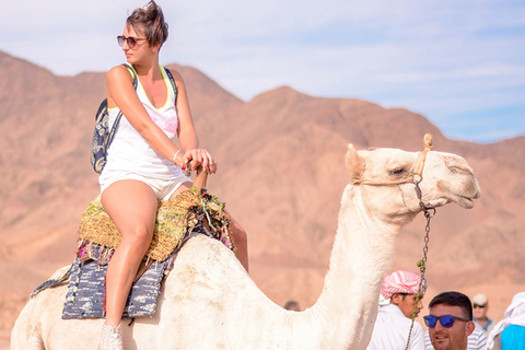 Excursão de safári com passeio de camelo em Sharm El Sheikh