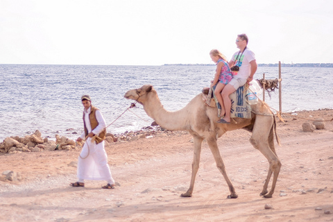 Excursão de safári com passeio de camelo em Sharm El Sheikh