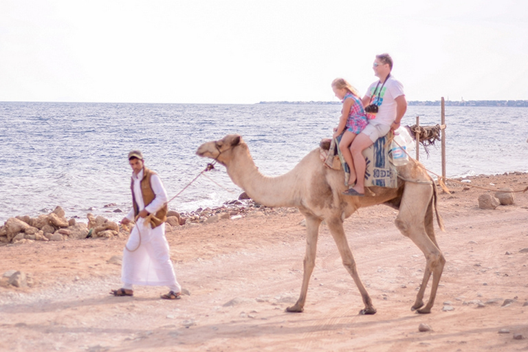 Excursão de safári com passeio de camelo em Sharm El Sheikh