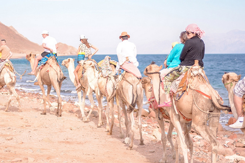 Excursão de safári com passeio de camelo em Sharm El Sheikh