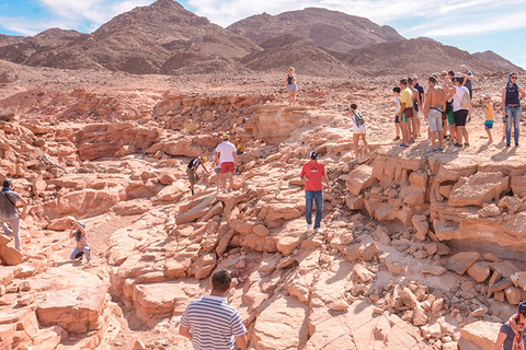 Excursão de safári com passeio de camelo em Sharm El Sheikh