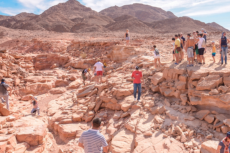 Tour safari a dorso di cammello a Sharm El Sheikh