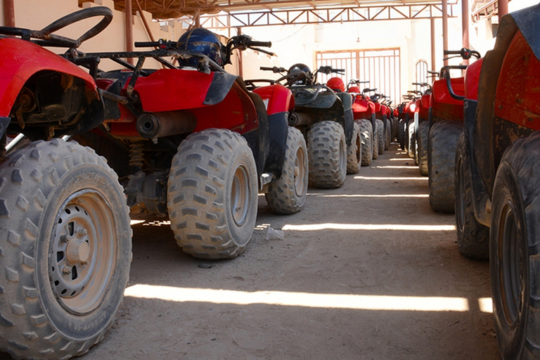 Hurghada: Tour mattutino in quad, giro in cammello e trasferimentoAlba in quad, cammello e colazione beduina