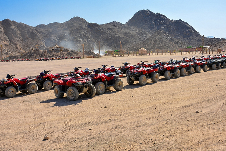 Hurghada: Tour mattutino in quad, giro in cammello e trasferimentoAlba in quad, cammello e colazione beduina