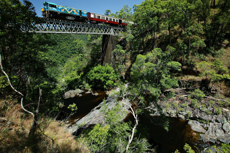 Cairns: Small Group Tour - Kuranda via bus and Scenic Rail Cairns: Kuranda by Bus and Scenic Rail Small-Group Day Tour