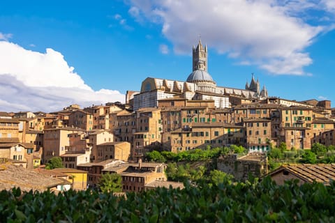 Siena: Escape Tour - Self-Guided Citygame