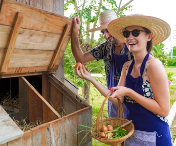 Chiang Mai: Authentic Thai Cooking Class and Farm Visit