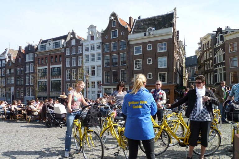 Amsterdam : Highlights & Hidden Gems Bike Tour 3 heuresVisite en anglais ou en néerlandais : individuels et petits groupes