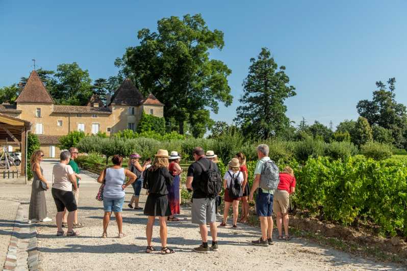 Bordeaux: Escursione di mezza giornata con degustazione di vini nei vigneti