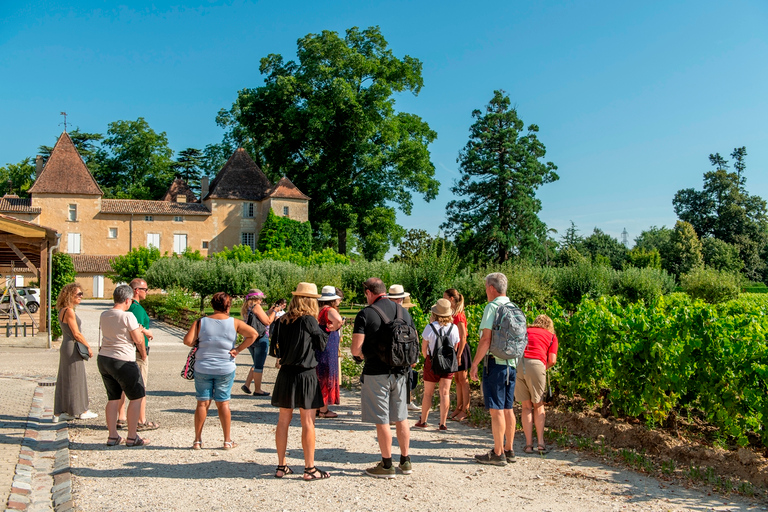 Bordeaux: winnice Saint-Emilion z lokalnymi degustacjami wina