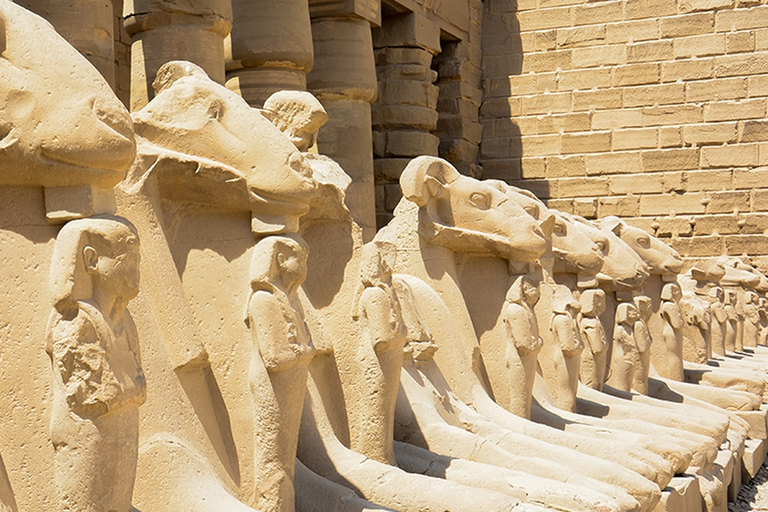 Depuis Hurghada : Visite guidée privée de LouxorForfait spécial - Louxor Visite partagée