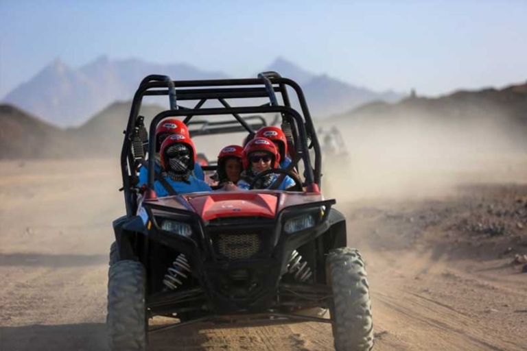 Sharm el-Sheikh: Bedouin Village and Buggy Desert Day Tour Double Buggy Ride, Tea, Camel Ride, Dinner, and Show