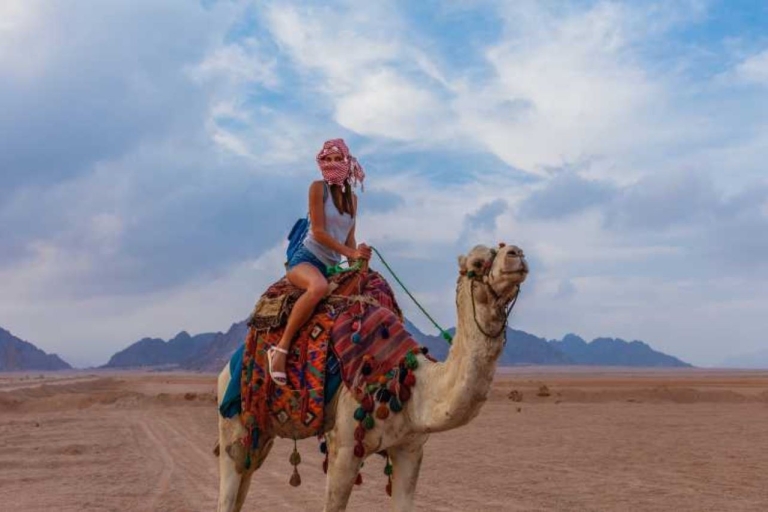 Sharm el-Sheikh: dagtour bedoeïenendorp en buggy-woestijnDubbele buggyrit, bezoek aan bedoeïenendorp en traditionele thee