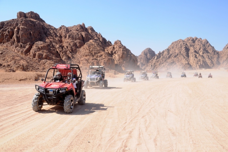 Sharm el-Sheikh: Excursión de un día a un pueblo beduino y a un buggy en el desiertoPaseo familiar en buggy, pueblo beduino y té