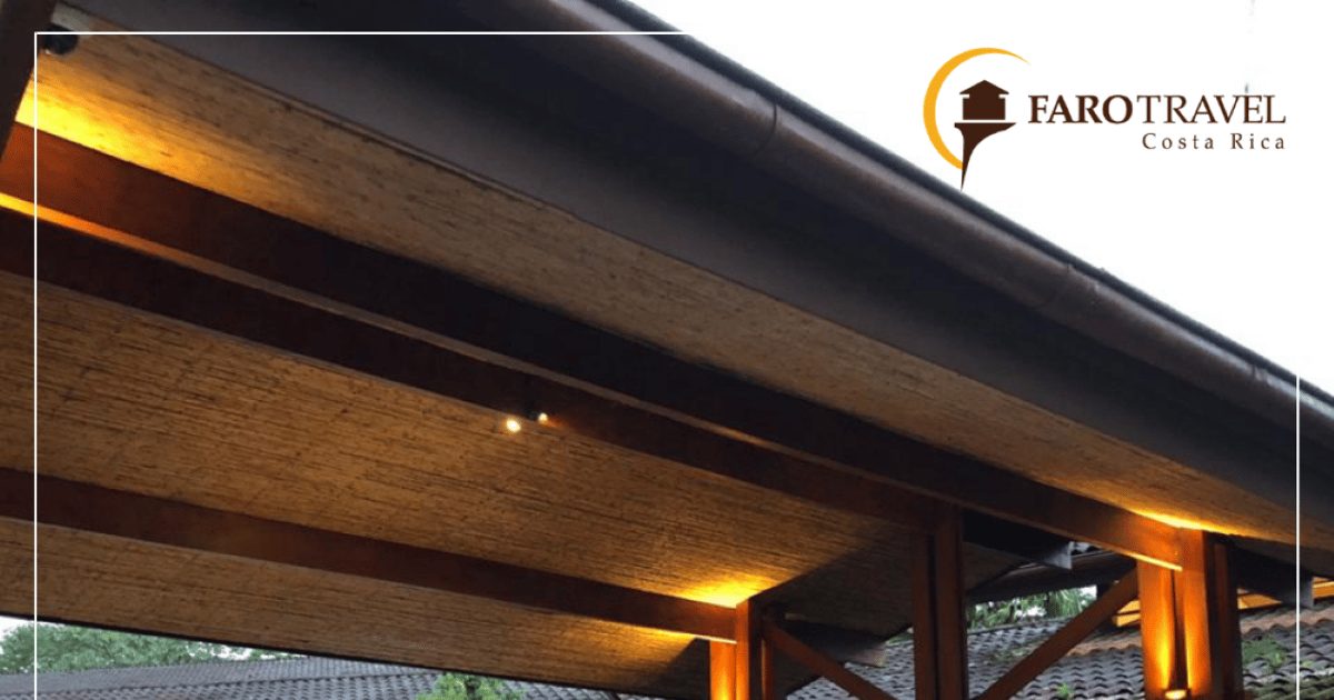 Manuel Antonio San Jose veya Alajuela'ya transfer GetYourGuide