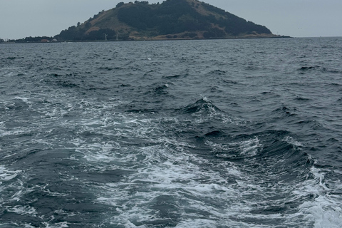 Jeju: Biyangdo Island Ferry Ride, Hike, and Lunch