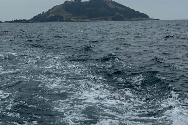 Jeju: Biyangdo Island Ferry Ride, Hike, and Lunch
