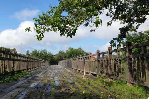 Seoul: South Korea Demilitarized Zone Half & Full Day Tour
