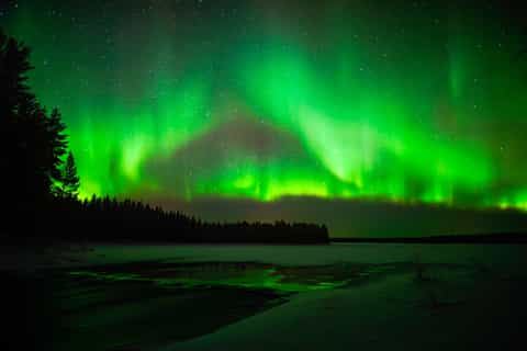 Rovaniemi: Northern Lights Wilderness Tour with Camera