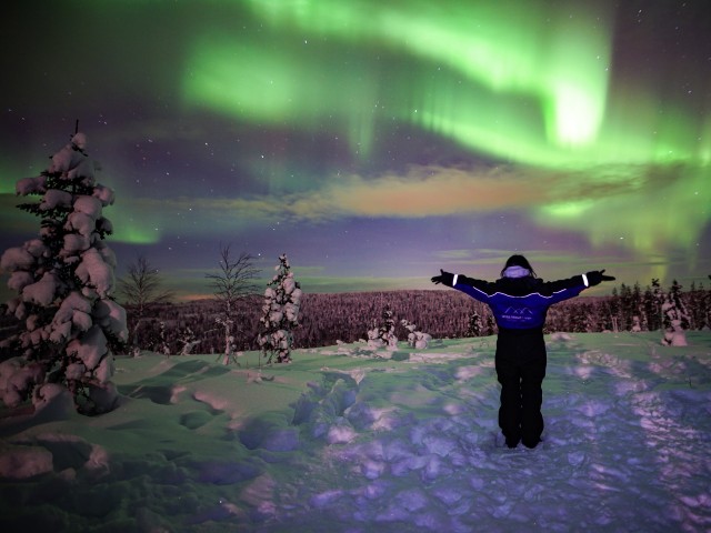 Visit Rovaniemi Northern Lights Wilderness Tour with Camera in Rovaniemi, Finland