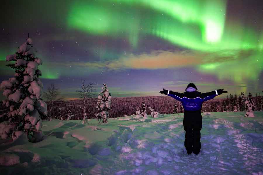 Rovaniemi: Nordlicht-Tour in der Wildnis mit Kamera. Foto: GetYourGuide