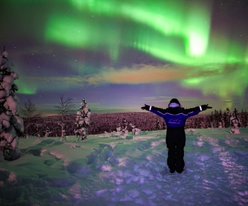 Rovaniemi: Excursão à natureza da aurora boreal com câmara
